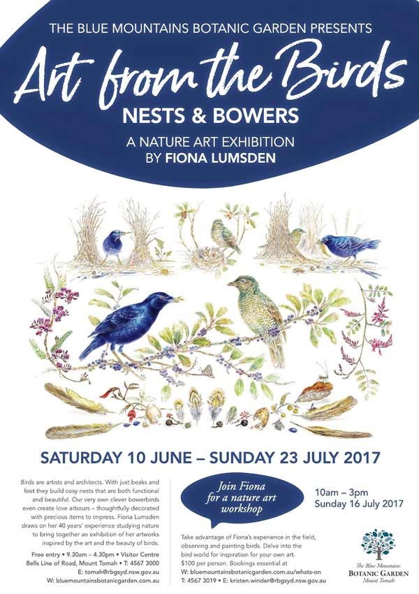 art from the birds exhib poster 600