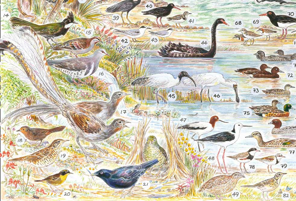 lower left