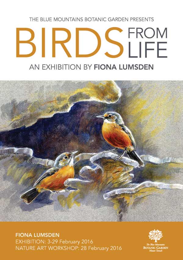 birds fromlife p1