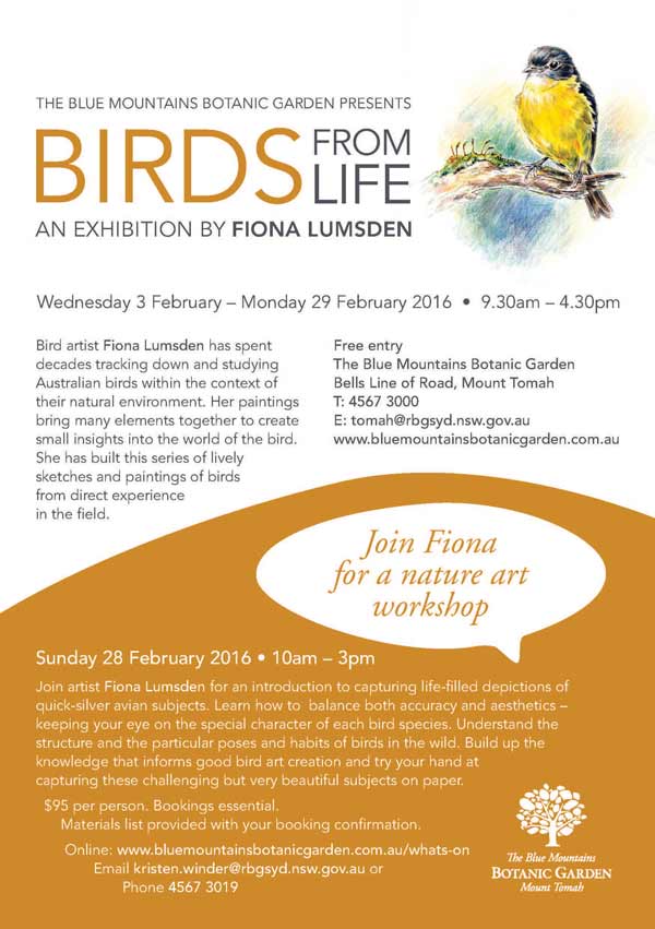 birds from life p2