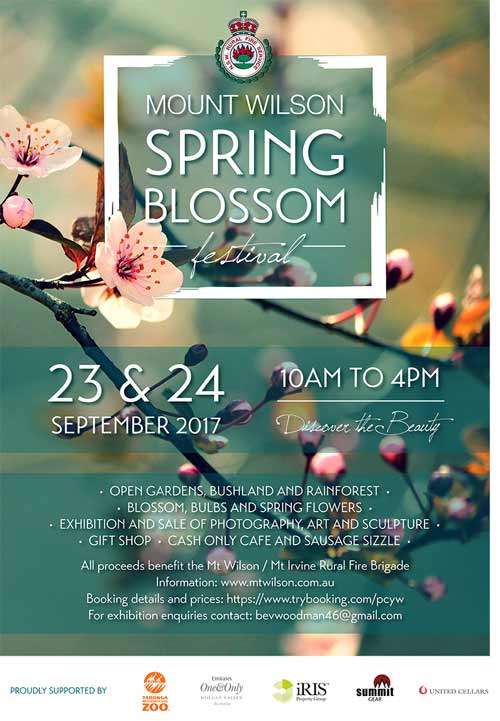 mt wilson art exhib flyer