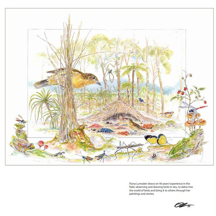 art bowerbirds p4b