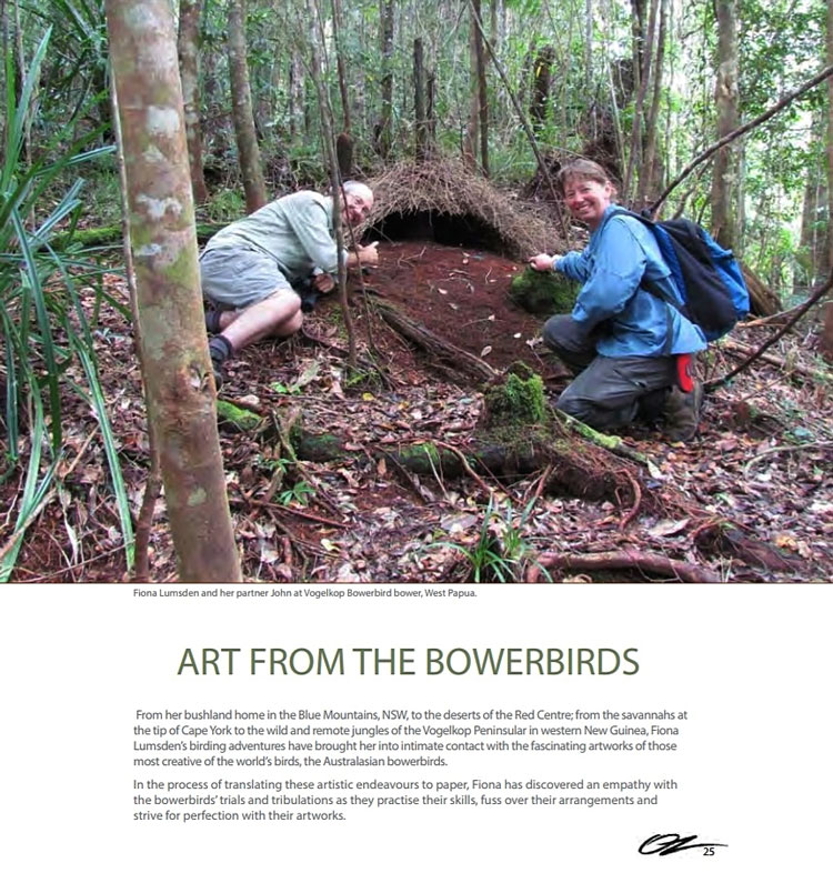 art bowerbirds p1