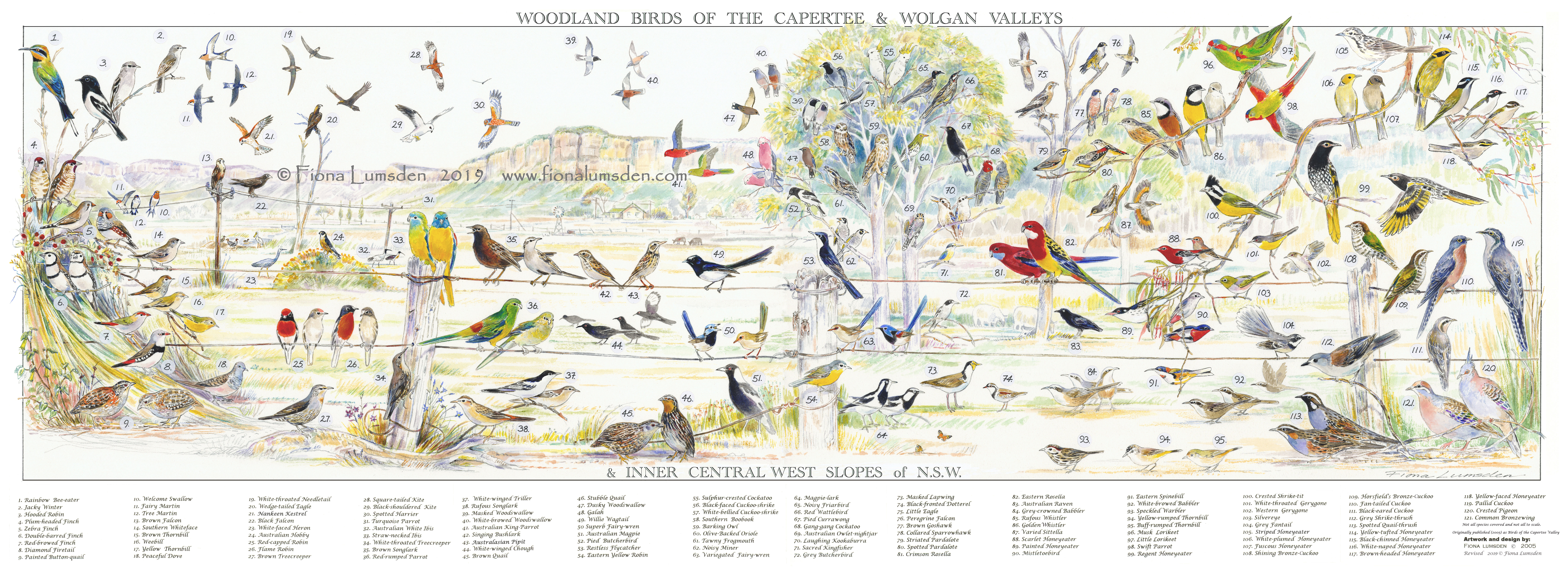 birds of capertee & wolgan valleys poster1000