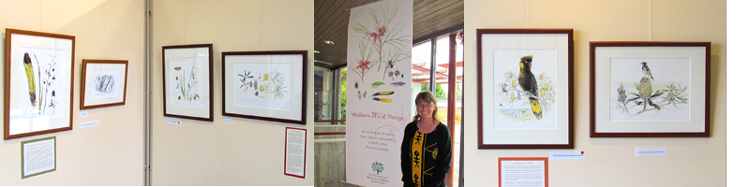 mt tomah exhibition banner