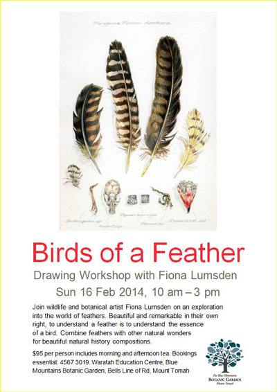 peregrine feathers and prey