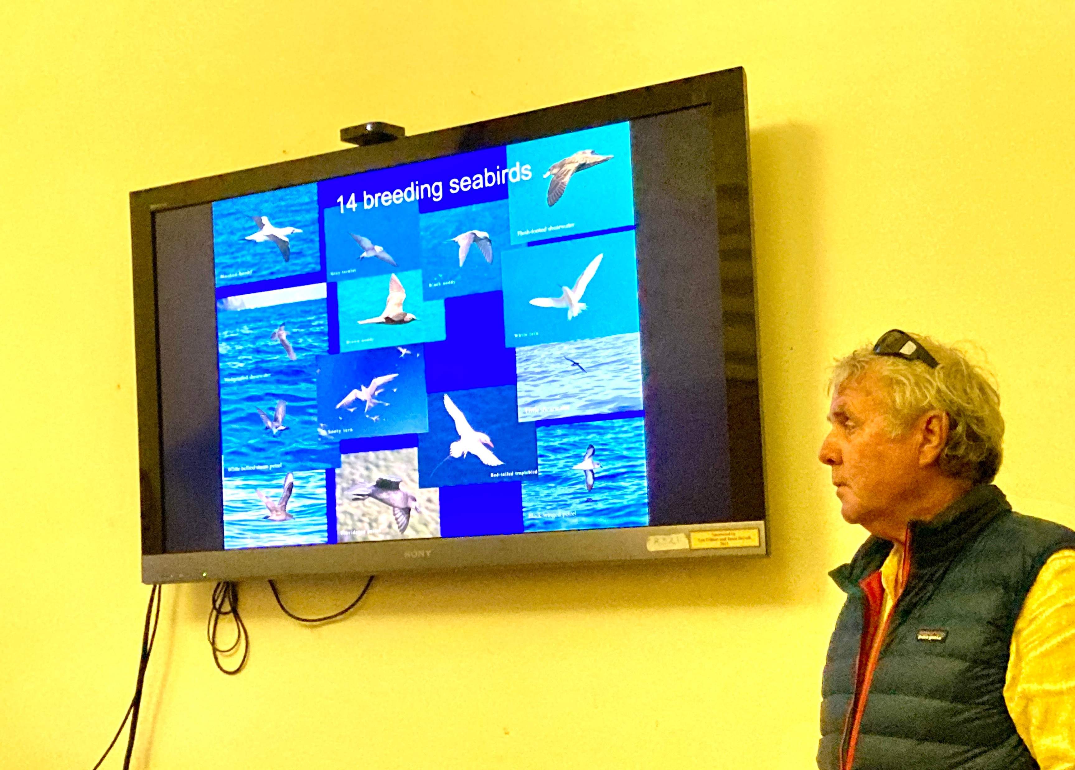 Ian Hutton presents birds of LHI