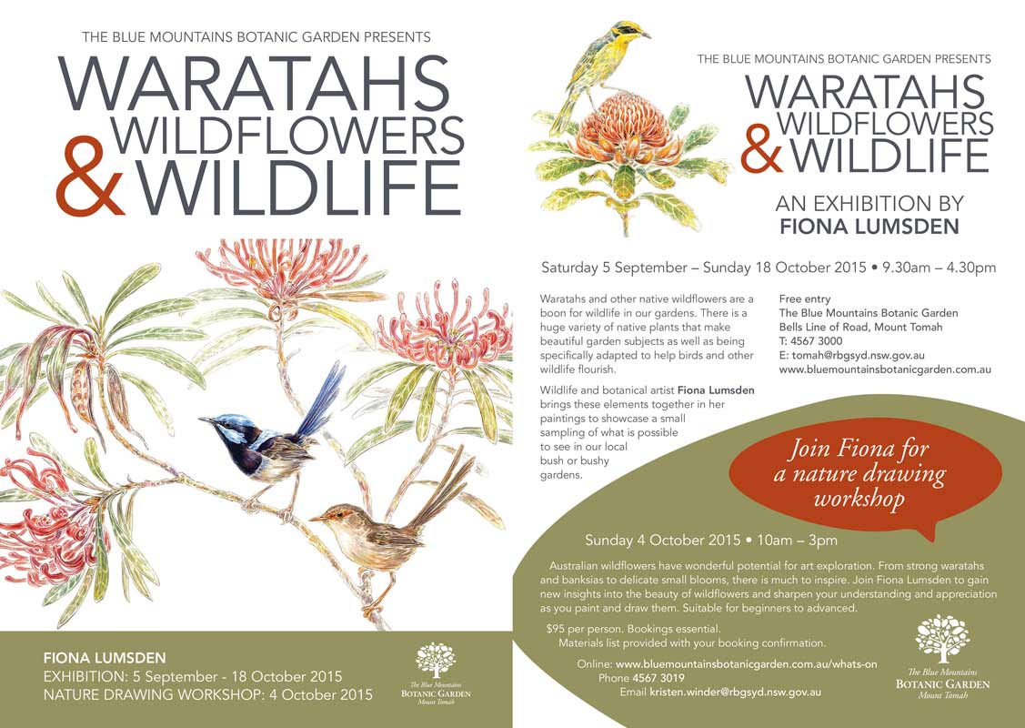 waratah& wildlife 2015