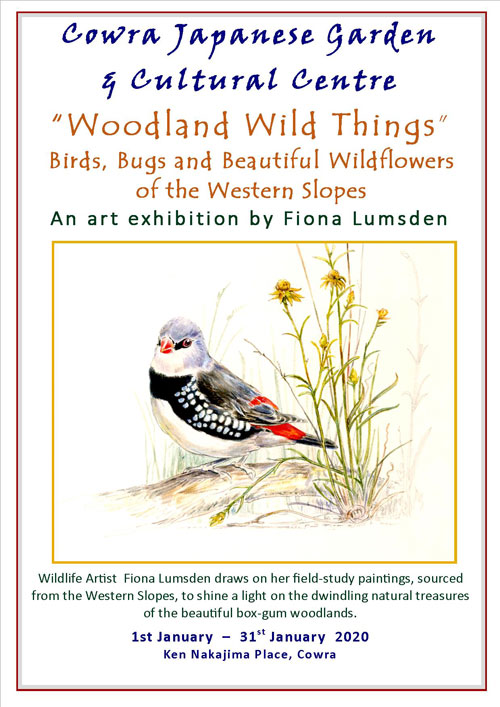 woodland wild things cowra